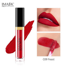 Load image into Gallery viewer, IMAGIC Matte Lip Gloss Waterproof  Liquid Lipgloss