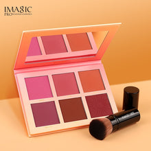 Load image into Gallery viewer, IMAGIC 6 Color Blush Rouge Natural Nude Makeup