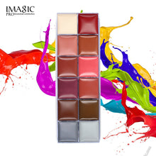 Load image into Gallery viewer, IMAGIC Halloween Face Body Paint Oil Painting Art Make Up Set/12 Flash Tattoo Color+6pcs Paint Brush