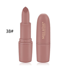Load image into Gallery viewer, 22 color fashion matte lipstick waterproof long-lasting