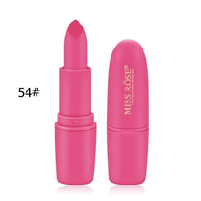 Load image into Gallery viewer, 22 color fashion matte lipstick waterproof long-lasting