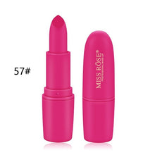 Load image into Gallery viewer, 22 color fashion matte lipstick waterproof long-lasting