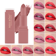 Load image into Gallery viewer, Nude matte 12 color sexy velvet waterproof