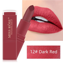 Load image into Gallery viewer, Nude matte 12 color sexy velvet waterproof